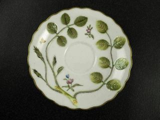 Blind Earl By Royal Worcester 6 " Replacement Saucer (s) Only Raised