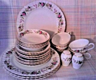 22 Pc Creative Regency Rose Dishes With Salt And Pepper Shakers