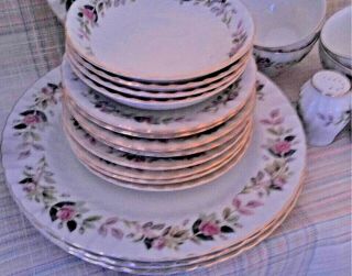 22 Pc Creative Regency Rose Dishes with Salt and Pepper Shakers 2