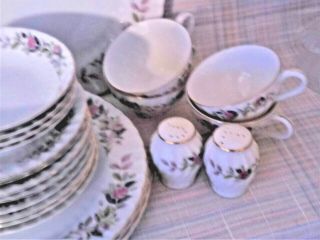 22 Pc Creative Regency Rose Dishes with Salt and Pepper Shakers 3