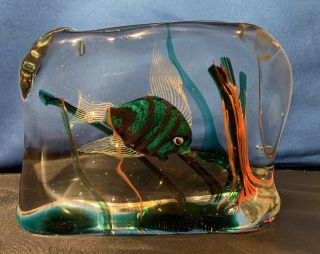 Murano Glass Fish Tank Aquarium Art Glass