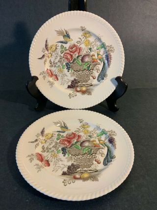 Set Of 2 Vintage Johnson Brothers Birds Of Paradise Dinner Plates 10 In