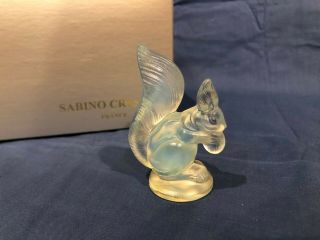 Sabino Opalescent Art Glass - Squirrel - 46