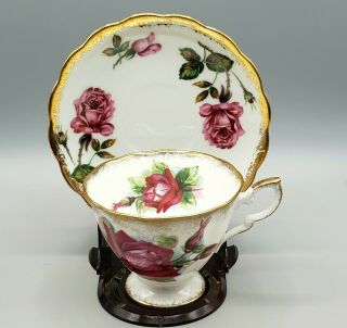 Vintage Grand Gala Rose Teacup & Saucer Royal Standard Fine Bone English China