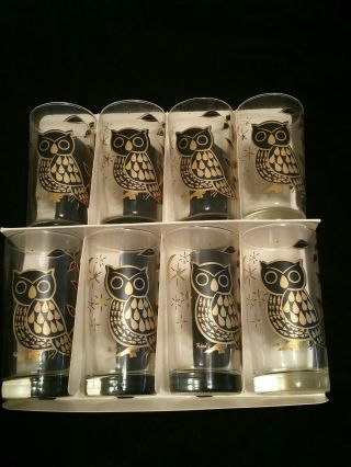 Vintage Bartlett Collins 22k Gold Owls Signed Pokee Glasses Set Of 8 Mc