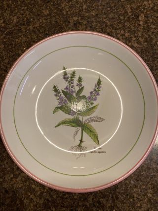 Vintage Primula Decorata a Mano Botanical Bowls - Set of 5 - made in Italy 2
