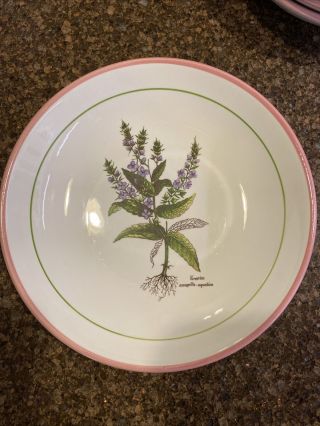 Vintage Primula Decorata a Mano Botanical Bowls - Set of 5 - made in Italy 3