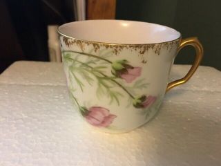 Vintage Haviland Limoges France Floral Porcelain Tea Cup & Saucer 3