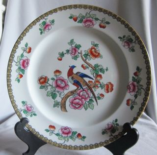 Vintage 10 1/2 " Dinner Plate F Winkle Pheasant Pattern