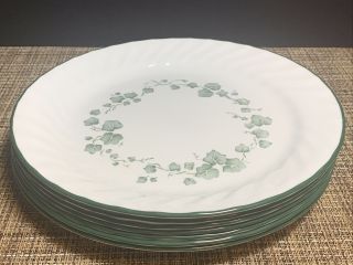 Corelle By Corning Callaway Set Of 7 Luncheon Plates 9 " White With Green Ivy