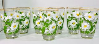 Vintage Libbey Set Of 7 Daisy Flower Painted Rim Drinking Glasses Usa Signed