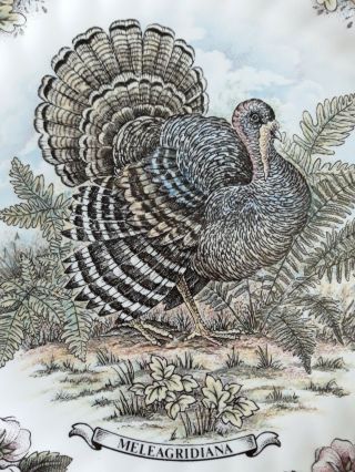 Churchill Wildlife Scenes Thanksgiving Turkey 10 