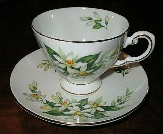 Tuscan Porcelain " Bridal Flower Orange Blossom " Tea Cup & Saucer,  England