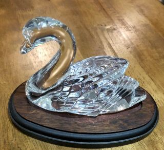 Large Waterford Crystal Swan Figurine On Wooden Stand