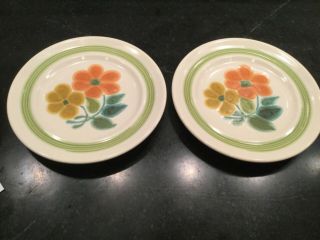 Two (2) Vintage Franciscan Floral Earthenware 6 - 1/2 " Bread/ Dessert Plates