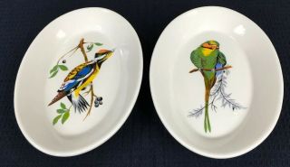 Homer Laughlin China Set Of 2 Parrot Design Oval Side Plates 8” By 5.  75” Usa