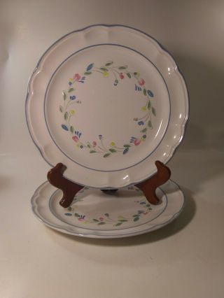 Floral Expressions 2 Mexican Hand Decorated Stoneware Dinner Plates 10.  5 ".