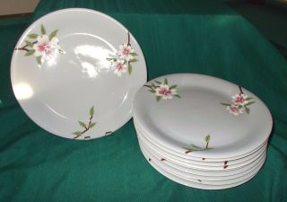 11 Weil Ware California Pottery Brentwood Dogwood On Gra - 10 - 1/2 " Dinner Plates