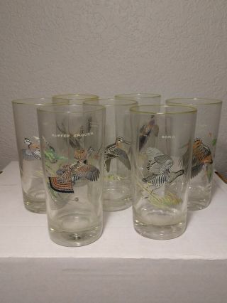 Vintage Mcm 60s Ned Smith Game Birds High Ball Glasses 5.  5 " Set Of Seven (7)