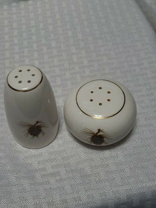 Paden City Pottery Pine cone pattern Mid Century Salt and Pepper 2