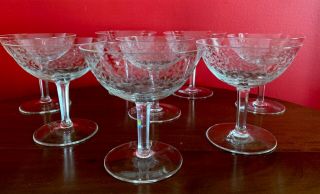 Set Of 8 Vintage Champagne Sherbet Glasses With Etched Delicate Vine Pattern