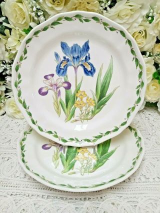 ❤ Noritake Casual Gourmet Iris 5 Dinner Plate 10 3/4 Inches