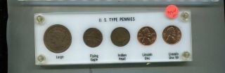 Large Cent Lincoln Penny Indian 5 Coin Type Set Penny Thru Half Dollar 3924l