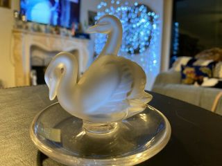 Paris Lalique Crystal 4 " Deux Cygnes Two Swans - Pin Dish - Lovers For Life