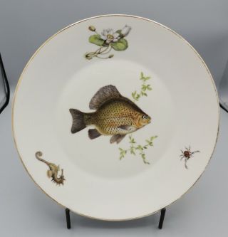 Bavaria Fish Plate Hand Painted Seahorse Flower West Germany Fredericksburg