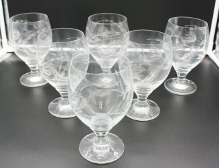 Vintage Etched Water Goblets Wine Glasses Elegant Floral Stemware Set Of 6