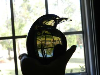 Livio Seguso Art Glass Smokey Penguin Bird Paperweight 4.  5 " Figure Italy Murano