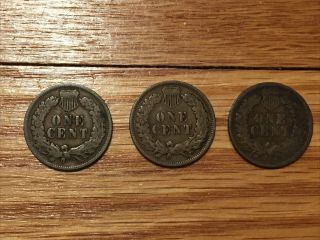 Roll of 50 1905 Indian Head Cent Pennies 3