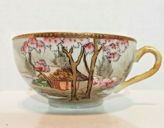 Hand Painted T&z York Bone China Cup Made In Japan Mt.  Fuji