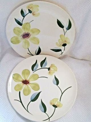 2 Vintage Blue Ridge Southern Potteries Handpainted Green Eyes 9 1/2 " Plates