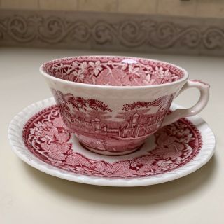 Mason’s Patent Ironstone Vista Red Pink Transferware Cup And Saucer