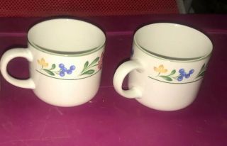 Farberware Stoneware Dorchester 388 Set Of 2 Cups Coffee Mugs 1995 Pretty Floral