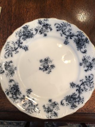 2 Antique Transferware Flow Blue English porcelain 8 In plates Floral Pattern 2