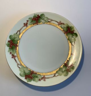 Thomas Sevres Bavaria Plate China 9 " Hand Painted Currents Berries With Gold