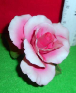 Lqqk Capodimonte [ Pink Rose ] Porcelain Flower Figurine