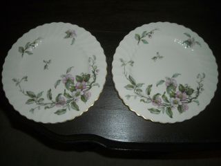 Syracuse Two 8 " Apple Blossom Salad Plates Pre Owned