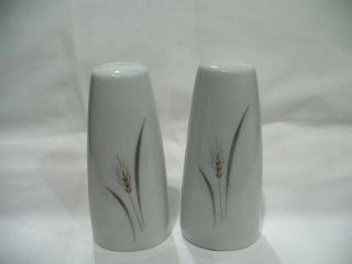 Platinum Wheat Vintage Fine China Of Japan Salt And Pepper Shakers