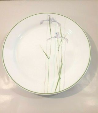 Vintage Set Of 8 Corelle Shadow Iris Dinner Plates