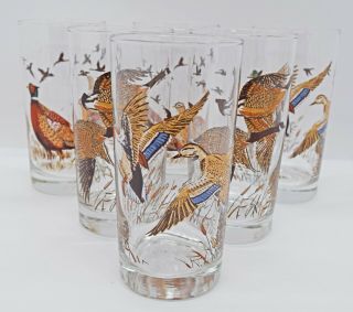Gamebird Highball Glasses Vintage Set Of 6 | 5 1/2 " Tall | Ducks Geese Pheasants