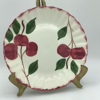 Vintage Blue Ridge Southern Potteries Crab Apple Hand Painted 9.  25” Plate - Usa