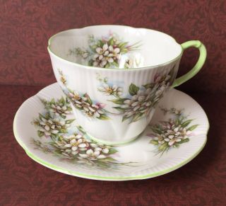 Tea Cup Teacup Saucer Set Royal Albert English Bone China Orange Blossom Dainty