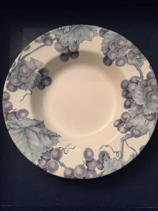 Pier 1 Vineyard Rimmed Soup Pasta Bowl Made In England 10 " Grapes & Vines
