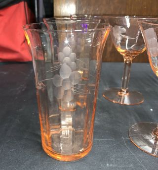 Set of 10 Vintage Pink Depression Etched Champagne Glasses &Tumblers 2
