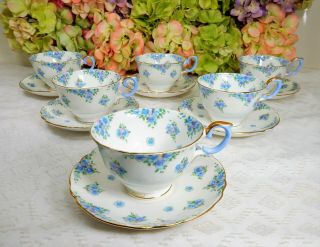 6 Crown Staffordshire Porcelain Forget Me Not Cups & Saucers Flowers Floral