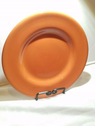 Corsica Home Tangerine Dinner Plate Hand Painted 11.  25 "