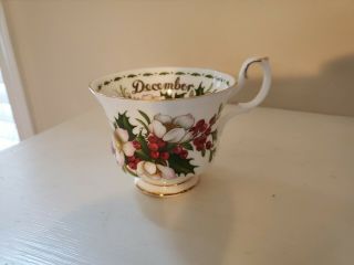 Royal Albert Bone China Flower Of The Month December Christmas Rose Cup England